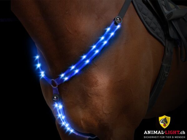 Animal Light Leucht-Vorgeschirr