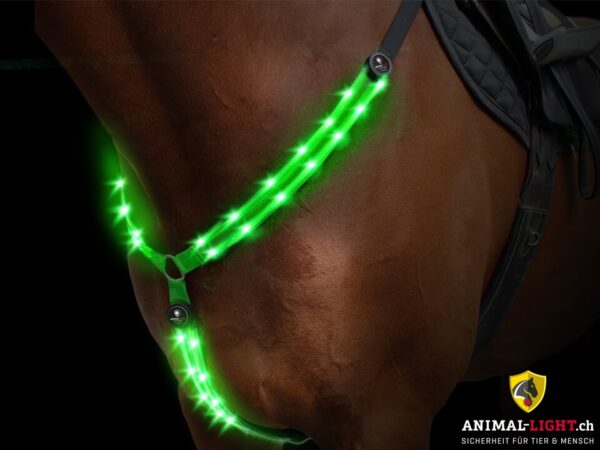 Animal Light Leucht-Vorgeschirr – Bild 2