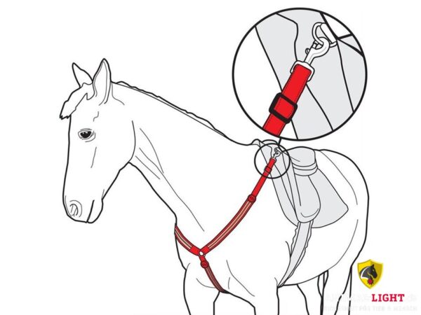 Animal Light Leucht-Vorgeschirr – Bild 14