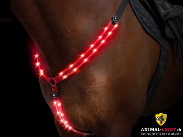 Animal Light Leucht-Vorgeschirr – Bild 3