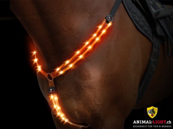 Animal Light Leucht-Vorgeschirr – Bild 4