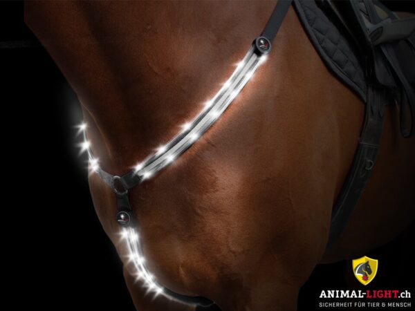 Animal Light Leucht-Vorgeschirr – Bild 6