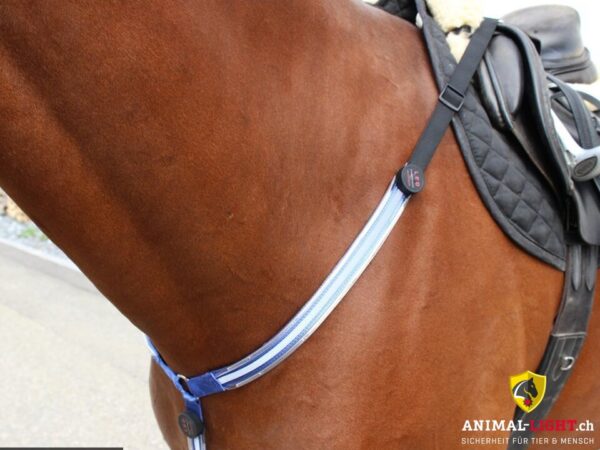 Animal Light Leucht-Vorgeschirr – Bild 8