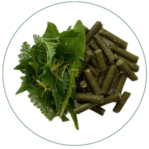 PferdeSnacks Wildkräuterli